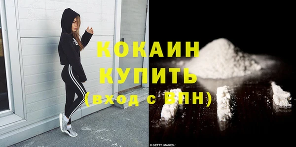гашик Аркадак